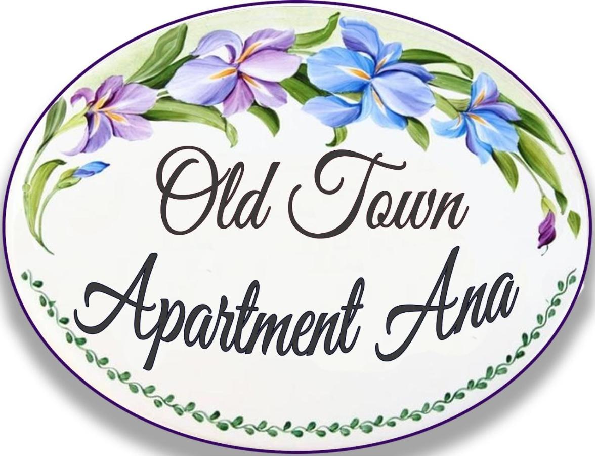 Old Town Apartment Ana Sibiu Esterno foto